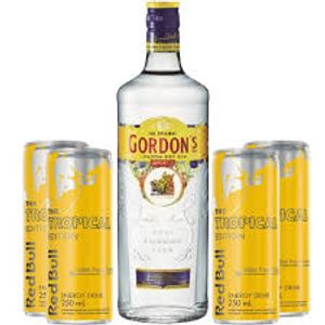 Combo Gin Gordons com 05 Redbull Tropical +05 Gelo de Sabor