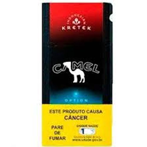 Camel Option