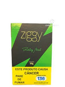 ziggy Burley Mint