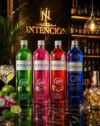 Combo de Gin Intencion com Baly Tropical + 05 Gelo de Sabor