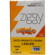 Ziggy Caju Tropical